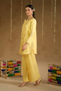 Naqshi | Festive Eid 26 | Aahal - by Libasekhas UK - Registered Vendor of : Naqshi - 100% Original Designer Dress