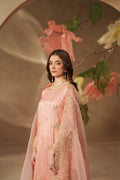 Naqshi | Eros Collection | Jinan - by - Libasekhas UK - Registered Vendor of : Naqshi - 100% Original Designer Dresss