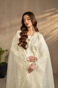 Naqshi | Festive Eid 26 | Ashnoor - by Libasekhas UK - Registered Vendor of : Naqshi - 100% Original Designer Dress