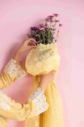 Aabyaan | Eid Pret 25 |MAHVEEN AP-04 - by - Libasekhas UK - Registered Vendor of : Aabyaan - 100% Original Designer Dresss