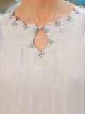 Ain | Raya Luxury Formals | AN-166 ZIRCON - by Libasekhas UK - Registered Vendor of : Ain - 100% Original Designer Dress