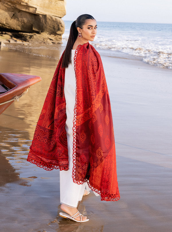Zainab chottani | Luxury Chikankari 24 | CHUNARI - 3A - by - Libasekhas UK - Registered Vendor of : Zainab Chottani - 100% Original Designer Dresss