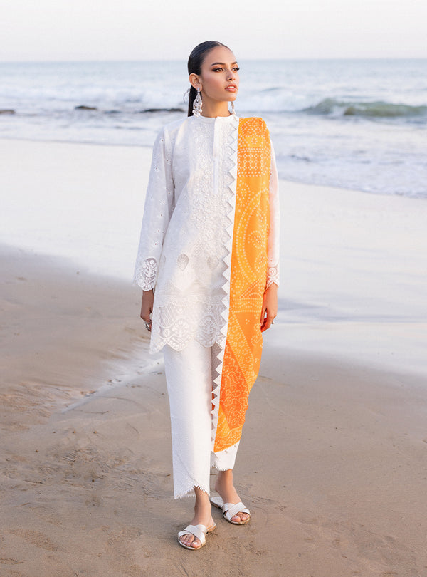 Zainab chottani | Luxury Chikankari 24 | CHUNARI - 3B - by - Libasekhas UK - Registered Vendor of : Zainab Chottani - 100% Original Designer Dresss