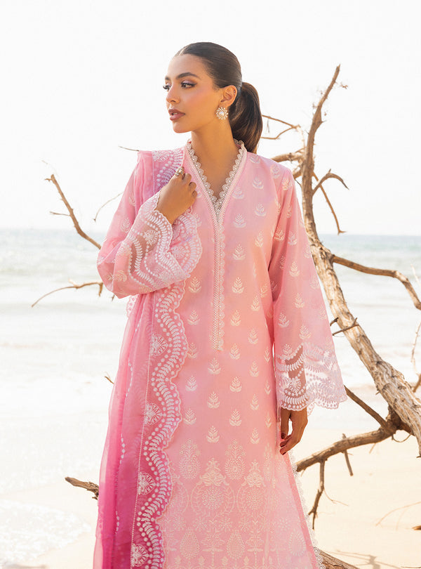 Zainab chottani | Luxury Chikankari 24 | AMYRA - 8B - by - Libasekhas UK - Registered Vendor of : Zainab Chottani - 100% Original Designer Dresss
