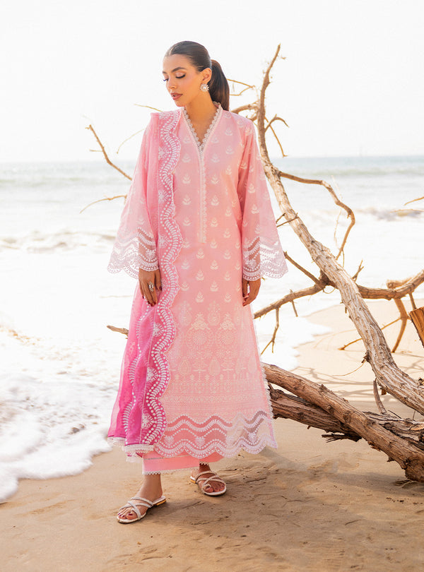 Zainab chottani | Luxury Chikankari 24 | AMYRA - 8B - by - Libasekhas UK - Registered Vendor of : Zainab Chottani - 100% Original Designer Dresss