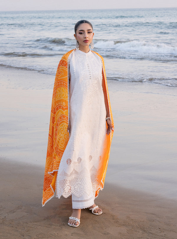 Zainab chottani | Luxury Chikankari 24 | CHUNARI - 3B - by - Libasekhas UK - Registered Vendor of : Zainab Chottani - 100% Original Designer Dresss