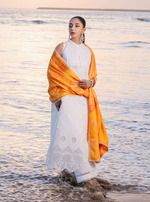 Zainab chottani | Luxury Chikankari 24 | CHUNARI - 3B - by - Libasekhas UK - Registered Vendor of : Zainab Chottani - 100% Original Designer Dresss