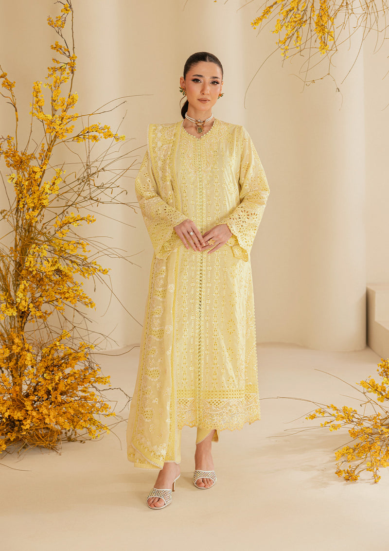 Aik Atelier | Lawn 26 | Look B2604A - by Libasekhas UK - Registered Vendor of : Aik Atelier - 100% Original Designer Dress