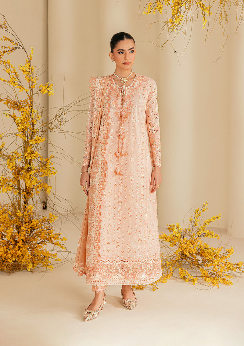 Aik Atelier | Lawn 26 | Look B2604B - by Libasekhas UK - Registered Vendor of : Aik Atelier - 100% Original Designer Dress