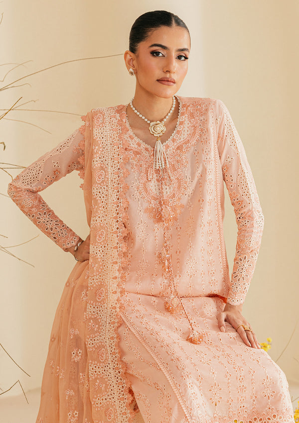 Aik Atelier | Lawn 26 | Look B2604B - by Libasekhas UK - Registered Vendor of : Aik Atelier - 100% Original Designer Dress