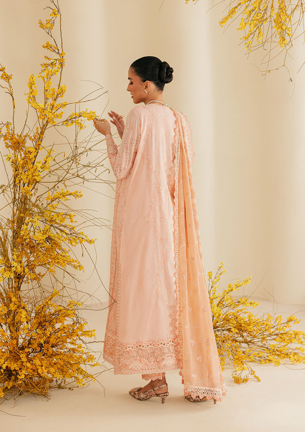 Aik Atelier | Lawn 26 | Look B2604B - by Libasekhas UK - Registered Vendor of : Aik Atelier - 100% Original Designer Dress