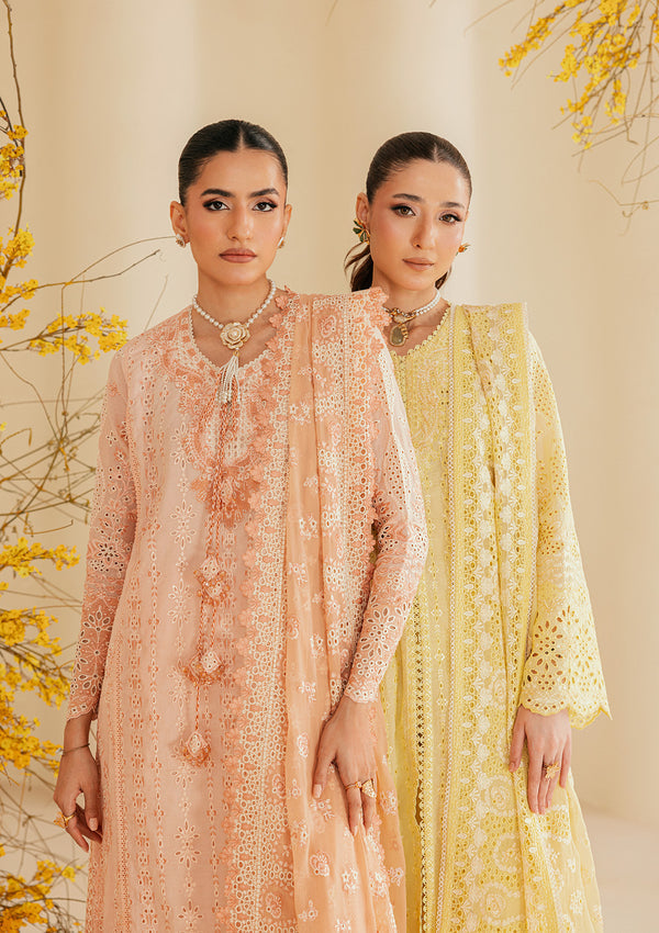 Aik Atelier | Lawn 26 | Look B2604B - by Libasekhas UK - Registered Vendor of : Aik Atelier - 100% Original Designer Dress