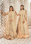 Aik Atelier | Wedding Festive 24 | 06 - by - Libasekhas UK - Registered Vendor of : Aik Atelier - 100% Original Designer Dresss