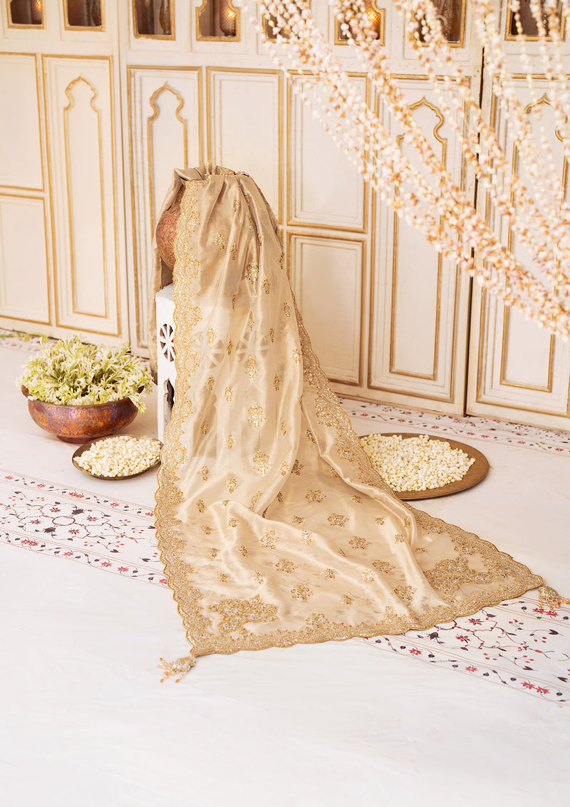 Aik Atelier | LIGHT GOLD TISSUE SHAWL - by - Libasekhas UK - Registered Vendor of : Aik Atelier - 100% Original Designer Dresss