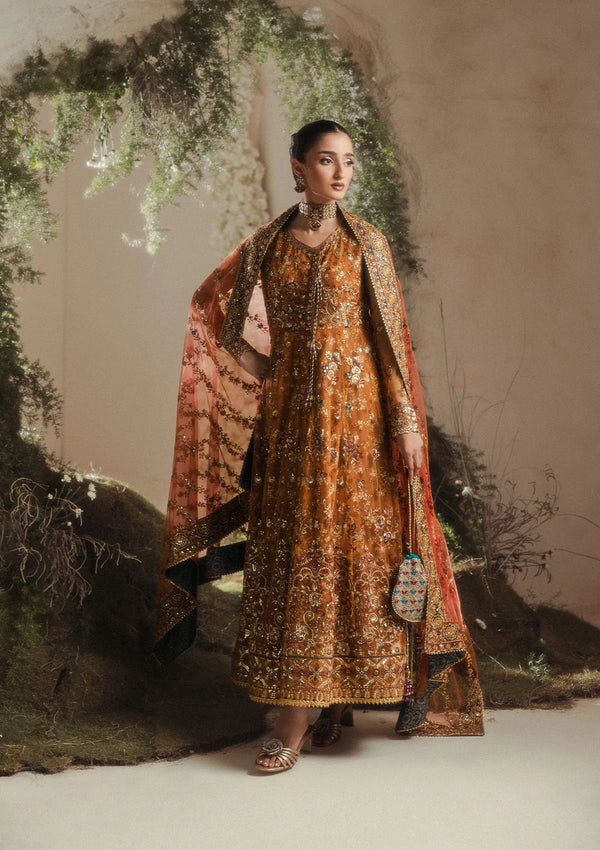 Aik Atelier | Aik Shaam 26 | AIK SHAAM - LOOK C2606