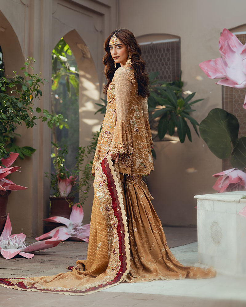 Ain | Naulakha Wedding Festive 24 |   AR-143 KESAR - Libasekhas