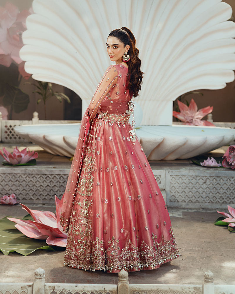 Ain | Naulakha Wedding Festive 24 | AR-142 ZORA - Libasekhas