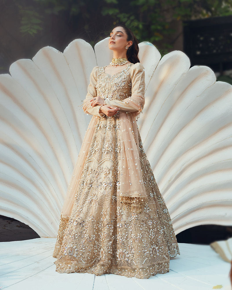 Ain | Naulakha Wedding Festive 24 |  AR-144 SHELL - by - Libasekhas UK - Registered Vendor of : Ain - 100% Original Designer Dresss