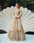 Ain | Naulakha Wedding Festive 24 |  AR-144 SHELL - by - Libasekhas UK - Registered Vendor of : Ain - 100% Original Designer Dresss