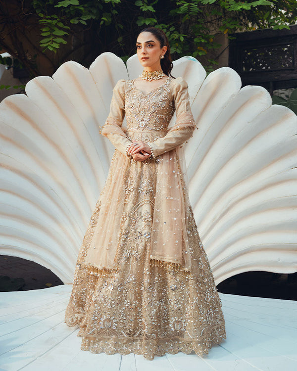 Ain | Naulakha Wedding Festive 24 |  AR-144 SHELL - by - Libasekhas UK - Registered Vendor of : Ain - 100% Original Designer Dresss