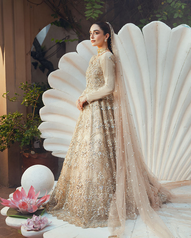 Ain | Naulakha Wedding Festive 24 |  AR-144 SHELL - Libasekhas