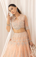 Asifa and Nabeel | Barasti Festive 23 | Shahnai (ANB-06) - by - Libasekhas UK - Registered Vendor of : Asifa and Nabeel - 100% Original Designer Dresss
