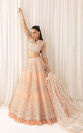 Asifa and Nabeel | Barasti Festive 23 | Shahnai (ANB-06) - by - Libasekhas UK - Registered Vendor of : Asifa and Nabeel - 100% Original Designer Dresss