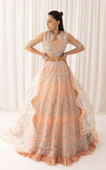 Asifa and Nabeel | Barasti Festive 23 | Shahnai (ANB-06) - by - Libasekhas UK - Registered Vendor of : Asifa and Nabeel - 100% Original Designer Dresss