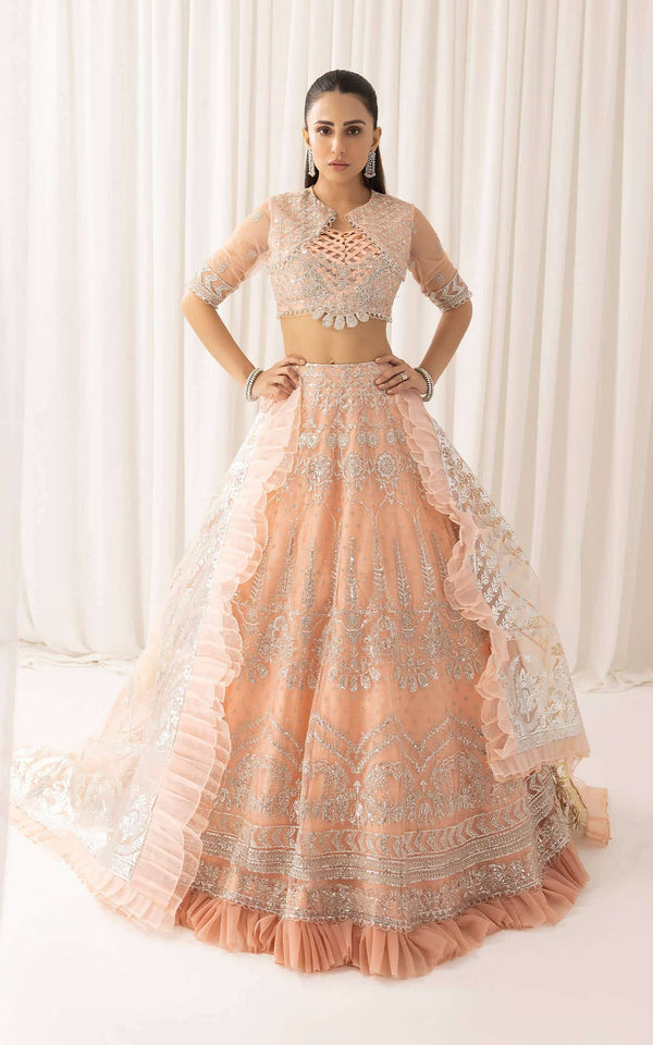 Asifa and Nabeel | Barasti Festive 23 | Shahnai (ANB-06) - by - Libasekhas UK - Registered Vendor of : Asifa and Nabeel - 100% Original Designer Dresss