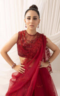 Asifa and Nabeel | Barasti Festive 23 | Mastani (ANB-10) - by - Libasekhas UK - Registered Vendor of : Asifa and Nabeel - 100% Original Designer Dresss