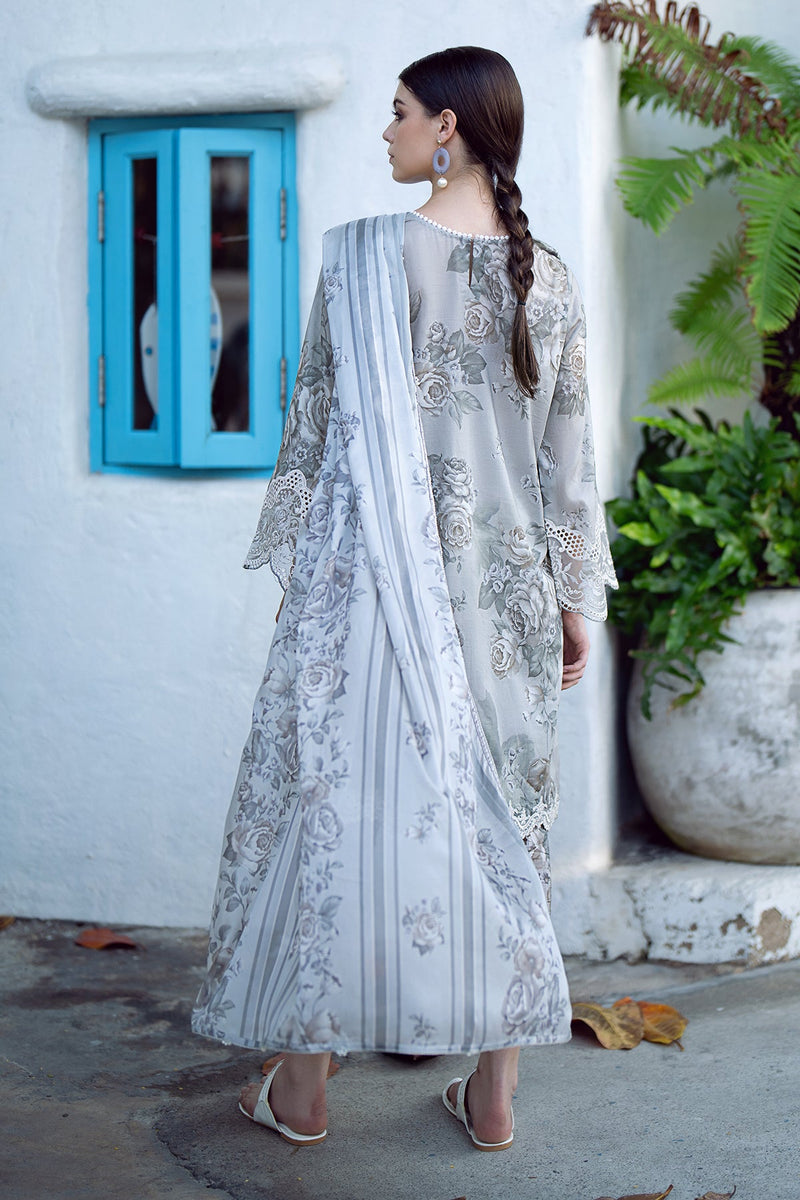 Baroque | Lawn Collection 24 | UF-557 - by - Libasekhas UK - Registered Vendor of : Baroque - 100% Original Designer Dresss