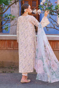 Baroque | Lawn Collection 24 | UF-591 - by - Libasekhas UK - Registered Vendor of : Baroque - 100% Original Designer Dresss