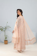 Panache | Pret | Blush Grandeur - by - Libasekhas UK - Registered Vendor of : Panache By Mona - 100% Original Designer Dresss