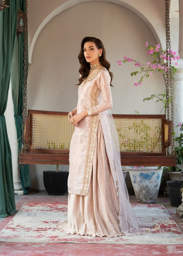 Haseens | Riwayat Luxe | Adeen - by Libasekhas UK - Registered Vendor of : Haseens - 100% Original Designer Dress
