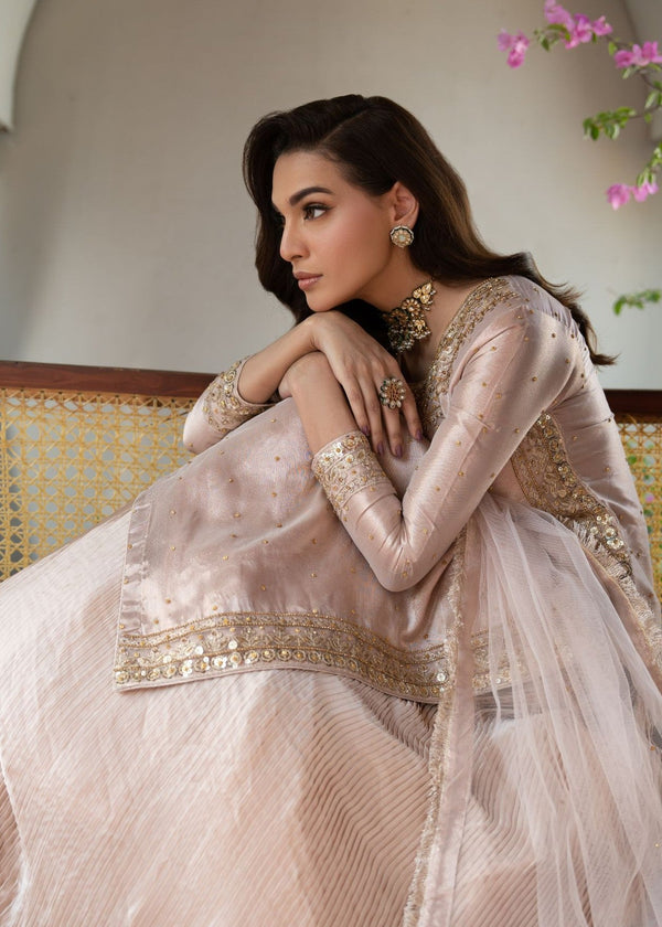 Haseens | Riwayat Luxe | Adeen - by Libasekhas UK - Registered Vendor of : Haseens - 100% Original Designer Dress