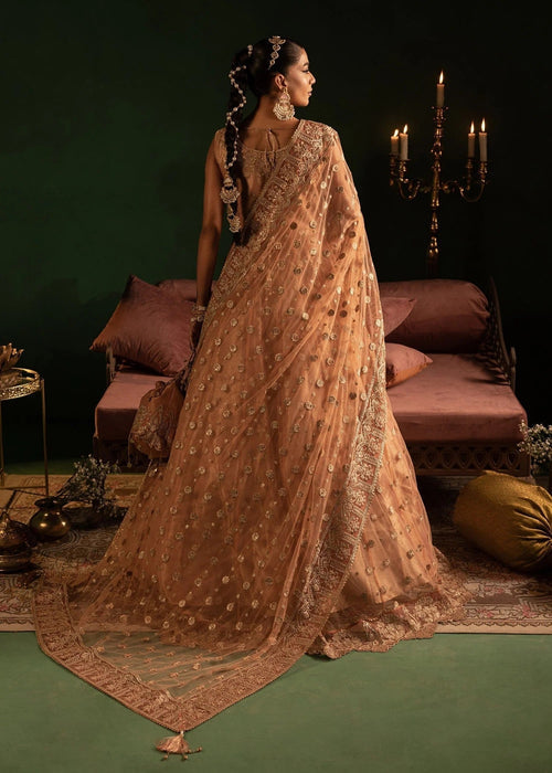 Diara Couture | Onora Wedding Festive | AYLA - WC-2-06 - by - Libasekhas UK - Registered Vendor of : Diara Couture - 100% Original Designer Dresss