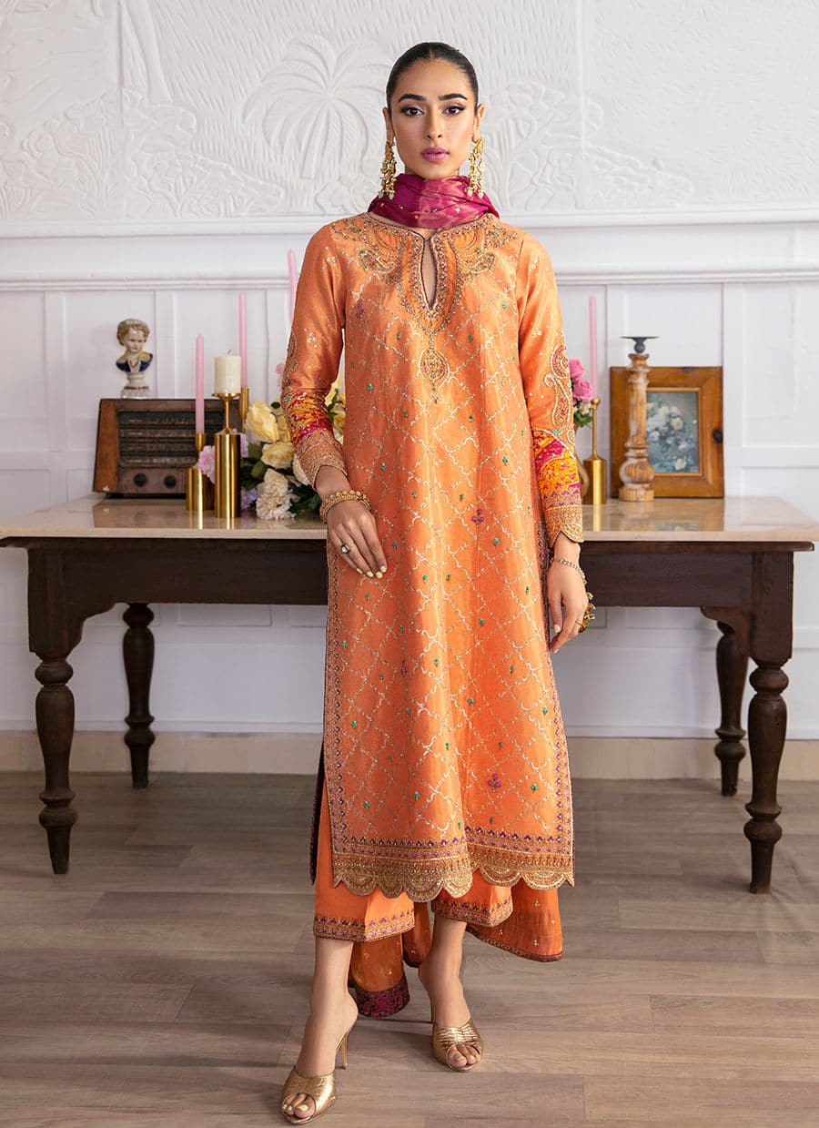 Farah Talib Aziz | Mayna Festive Luxe | ALEEN APRICOT - by - Libasekhas UK - Registered Vendor of : Farah Talib Aziz - 100% Original Designer Dresss