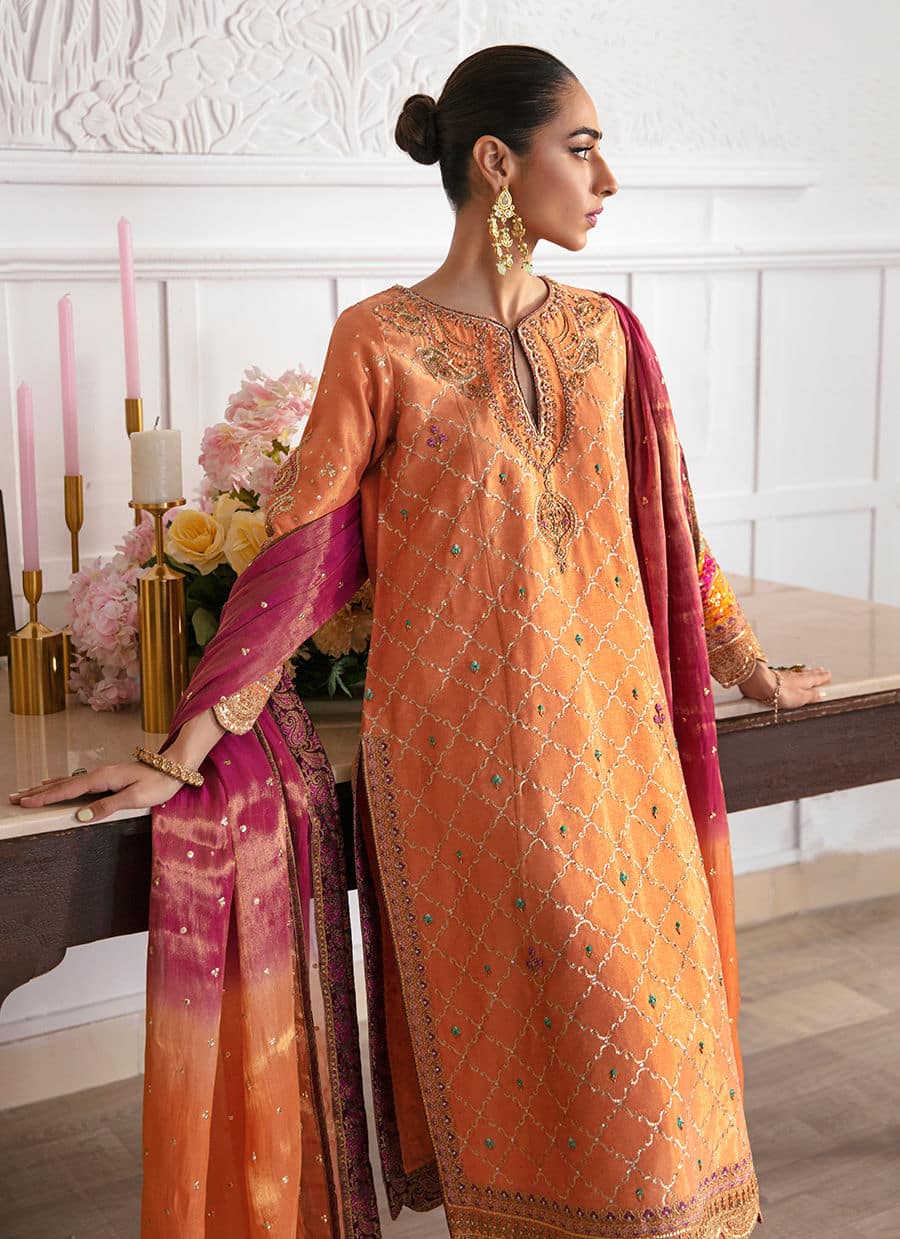 Farah Talib Aziz | Mayna Festive Luxe | ALEEN APRICOT - by - Libasekhas UK - Registered Vendor of : Farah Talib Aziz - 100% Original Designer Dresss