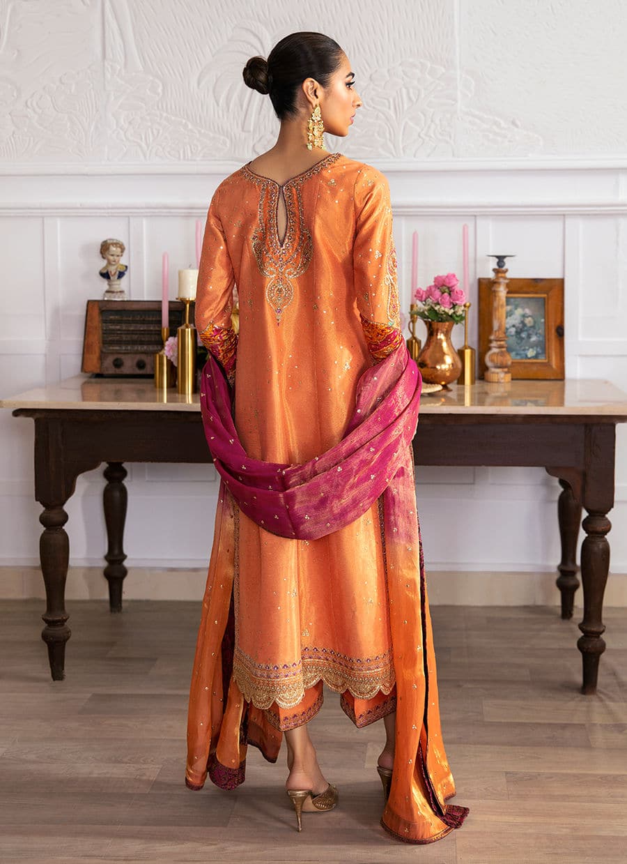 Farah Talib Aziz | Mayna Festive Luxe | ALEEN APRICOT - by - Libasekhas UK - Registered Vendor of : Farah Talib Aziz - 100% Original Designer Dresss