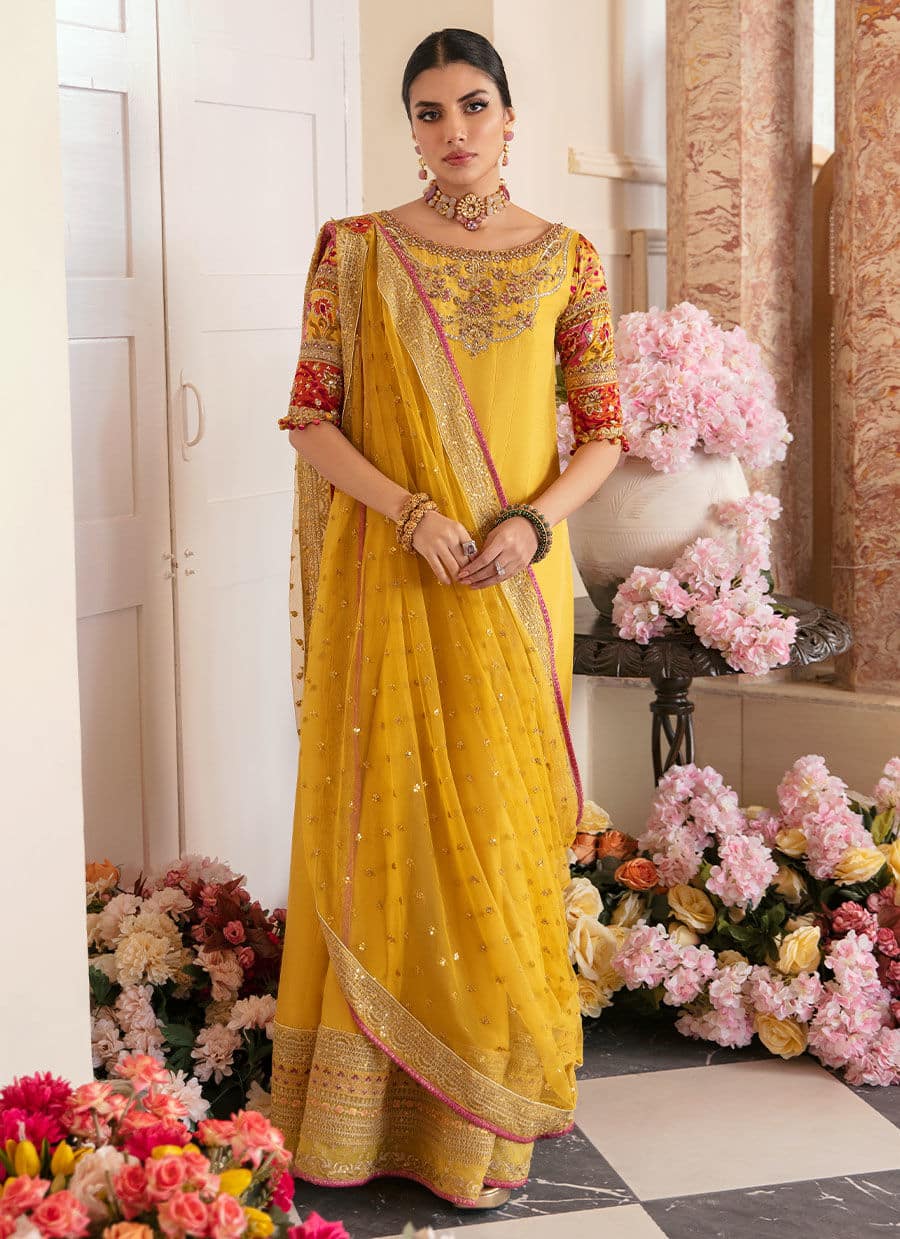 Farah Talib Aziz | Mayna Festive Luxe | AQIQ KIWI - by - Libasekhas UK - Registered Vendor of : Farah Talib Aziz - 100% Original Designer Dresss