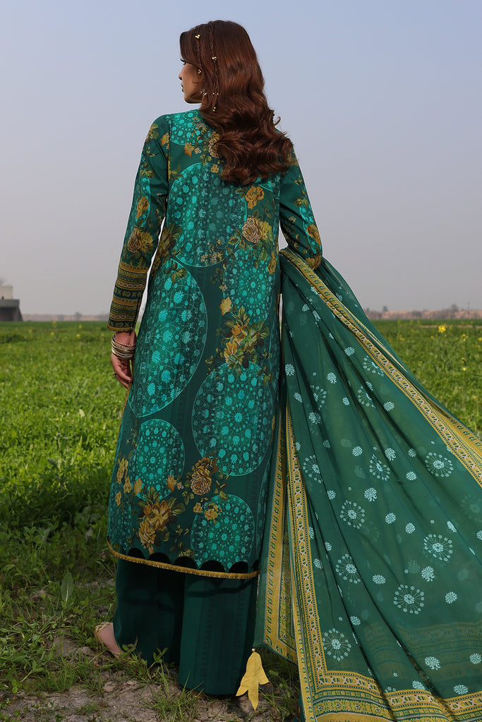 Charizma | Signature Print Vol 1 | SP4-04 - Luxury -  Libasekhas