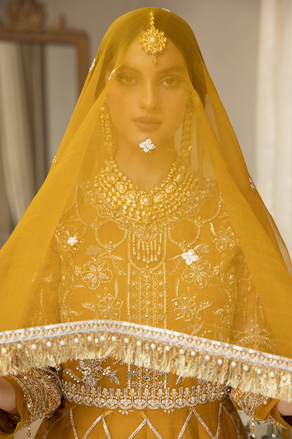 House of Nawab | Luxury Formals | HAZWA B - by - Libasekhas UK - Registered Vendor of : House of Nawab - 100% Original Designer Dresss