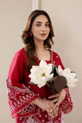 Adans Libas | Embrodiered Co Ord Sets | 4067 - by Libasekhas UK - Registered Vendor of : Adans Libas - 100% Original Designer Dress