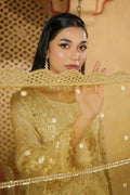 Maryams | Aarzu Formals | A-7006 - Libasekhas