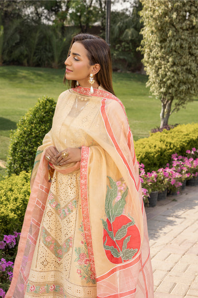 Altan | Noor e Bahar | Nilofer - by Libasekhas UK - Registered Vendor of : Altan - 100% Original Designer Dress