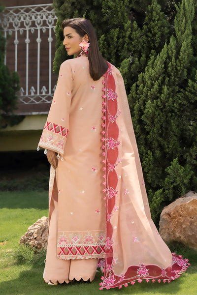 Altan | Noor e Bahar | Zuleh - by Libasekhas UK - Registered Vendor of : Altan - 100% Original Designer Dress