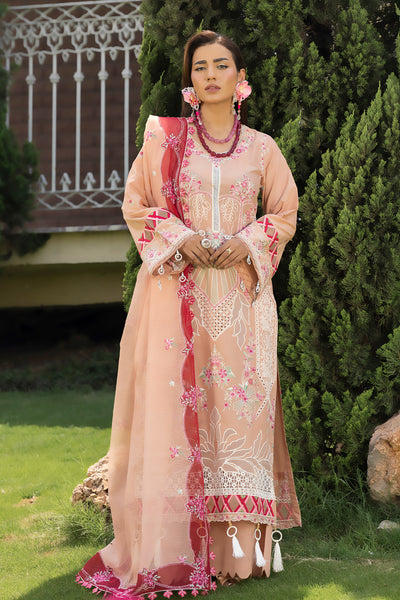 Altan | Noor e Bahar | Zuleh - by Libasekhas UK - Registered Vendor of : Altan - 100% Original Designer Dress