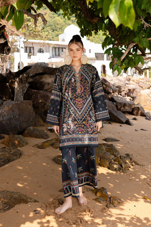Aabyaan | Signature Pair 26 | ARVEN (AX-06) - by Libasekhas UK - Registered Vendor of : Aabyaan - 100% Original Designer Dress