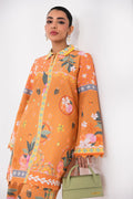Aabyaan | Signature Pair 26 | VIREL (AX-04) - by Libasekhas UK - Registered Vendor of : Aabyaan - 100% Original Designer Dress