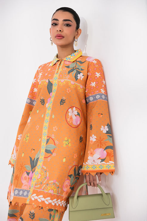Aabyaan | Signature Pair 26 | VIREL (AX-04) - by Libasekhas UK - Registered Vendor of : Aabyaan - 100% Original Designer Dress